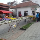 Srijeda sajmeni dan u Otočcu 