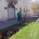 Uređenje cvjetnih gredica i zelenih površina 