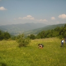 Uspješno odrađen 5. Memorijalni pohod na Korenski vrh ( 1101m)
