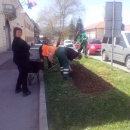 Uređenje cvjetnih gredica i zelenih površina 