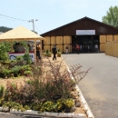 Petica za dizajn