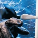 U Stinici iz trgovine otuđio novac i cigarete