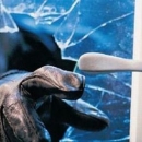 Provalili u trgovinu u Čovićima