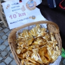Ljetni turistički adut – raskoš Eko etno Gacke!