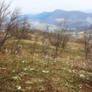 Od Sv. Ivana Krstitelja do Švičkog vrha