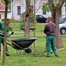 Pala prva košnja u zelenom parku