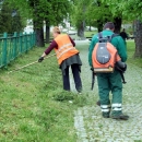 Pala prva košnja u zelenom parku