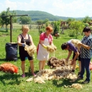 Gačanke čuvarice tradicije i običaja