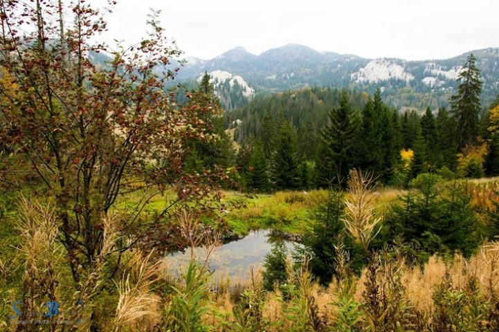 Lajkanjem do kalendara NP Sjeverni Velevit