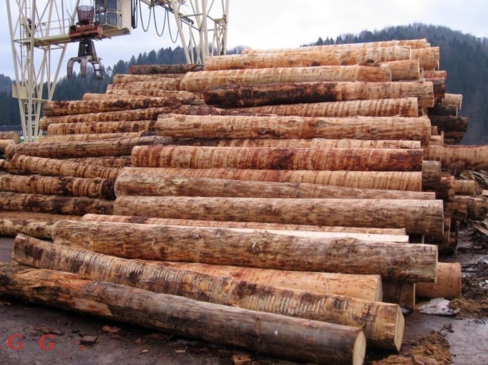 Radionica za drvne prerađivače - prodaja trupaca za 2016. g. 