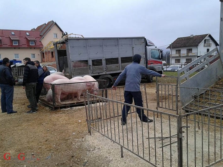 Kako na blaženoj burzi, a kako na maloj burzi?
