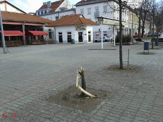 Vandalizam? ... Ma ne, bestijalnost!