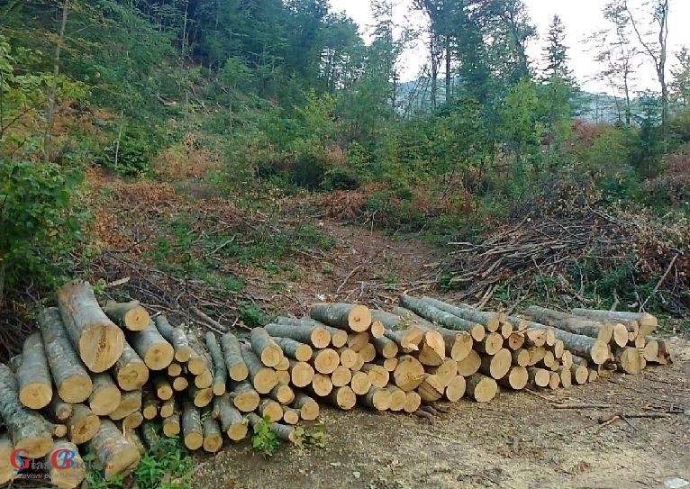Bukva je na cijeni