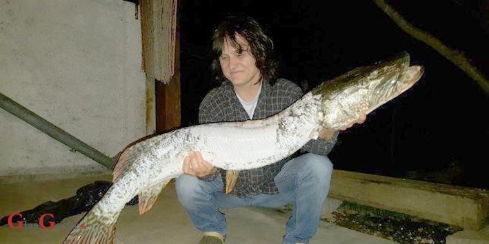 Čudovište iz Gacke - štuka od 11 kg