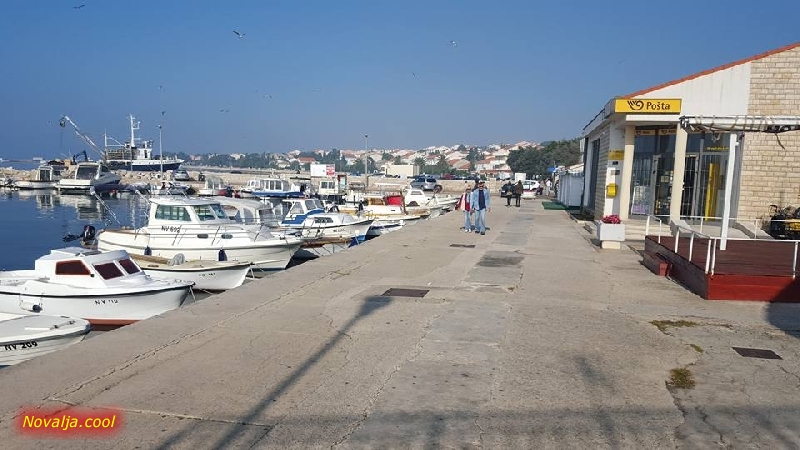 Javni poziv za članove Savjeta mladih u Novalji