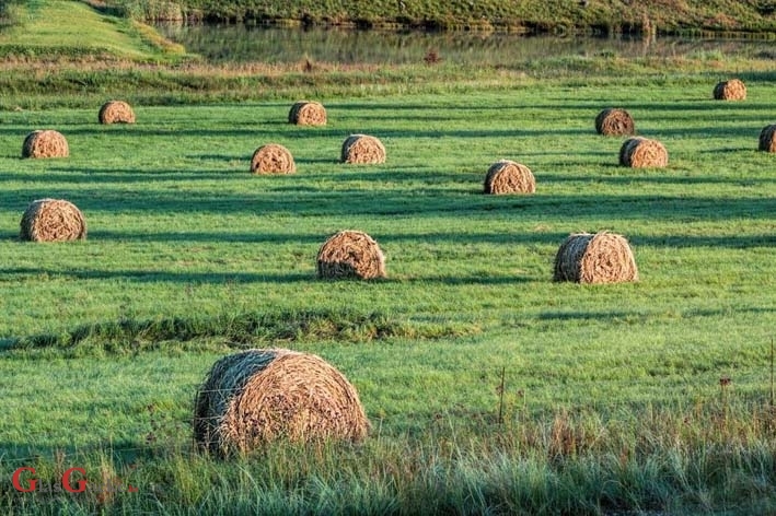 Produljeni rokovi za vaučere u poljoprivredi Produljeni rokovi za vaučere u poljoprivredi