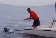 Senjani spasili dupina Senjani spasili dupina