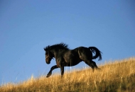 Stretni dobitnici kalendara NP Sjeverni Velebit za 2016.