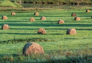 Produljeni rokovi za vaučere u poljoprivredi