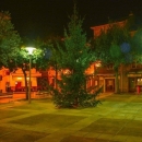 Kićenje bora u Senju