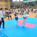 Teakwondo klub "Senj"- "Mali Lavići" u Zagrebu