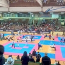 Teakwondo klub "Senj"- "Mali Lavići" u Zagrebu