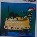 "Antijunakinje" u Gradskoj knjižnici Senj