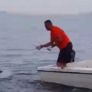 Senjani spasili dupina