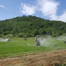 Što se to dimi? Kiparska kolonija je.
