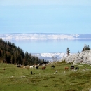 Lajkanjem do kalendara NP Sjeverni Velevit