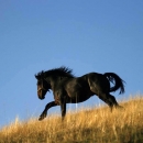 Stretni dobitnici kalendara NP Sjeverni Velebit za 2016.