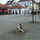 Vandalizam? ... Ma ne, bestijalnost!