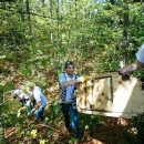 Volonterska akcija čišćenja divljih odlagališta u NP Plitvička jezera