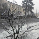 Hoće - ne će, ma hoće!