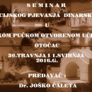 Seminar za dinarsku zonu