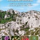 Danas je Međunarodni dan šuma