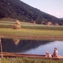 Voda i radna mjesta - za Svjetski dan voda