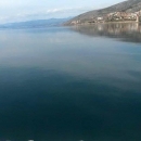 Baš poput ulja mirno