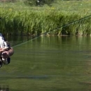 O šaranskom ribolovu na vodama Gacke