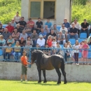 Druga Smotra hrvatskih hladnokrvnjaka u Krivom Putu