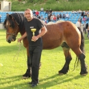 Druga Smotra hrvatskih hladnokrvnjaka u Krivom Putu