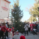 Okićen senjski bor
