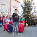 Okićen senjski bor