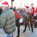 Okićen senjski bor