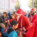Okićen senjski bor