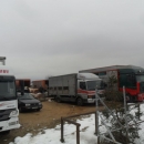 Prasci po 12 kn/kg danas na placi 