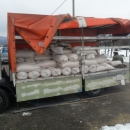 Prasci po 12 kn/kg danas na placi 