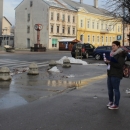 Otočani poduprli Baranjske leptiriće