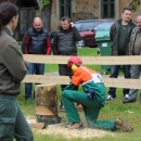 Dan sa šumarima