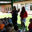 Mladi sa srcem zasadili srce!